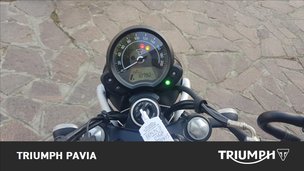 TRIUMPH Street Scrambler 900 