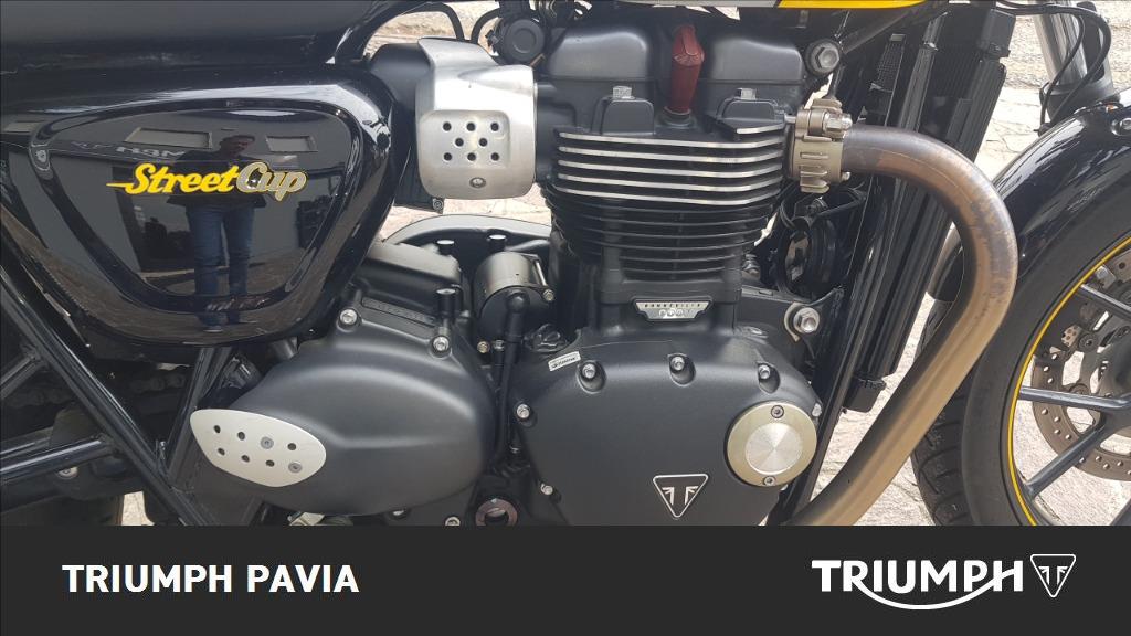 TRIUMPH Street Cup 900 