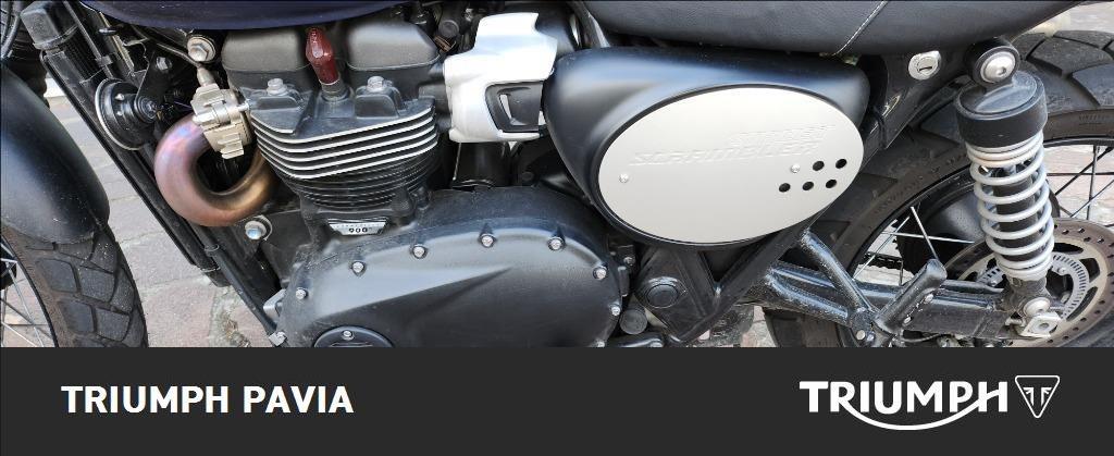 TRIUMPH Scrambler 900 Abs