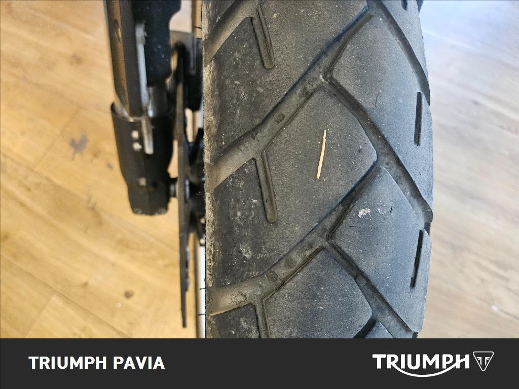 BENELLI Leoncino 500 Trail E5