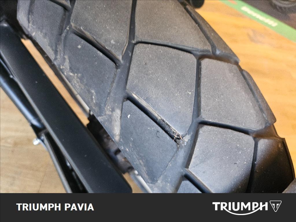 BENELLI Leoncino 500 Trail E5