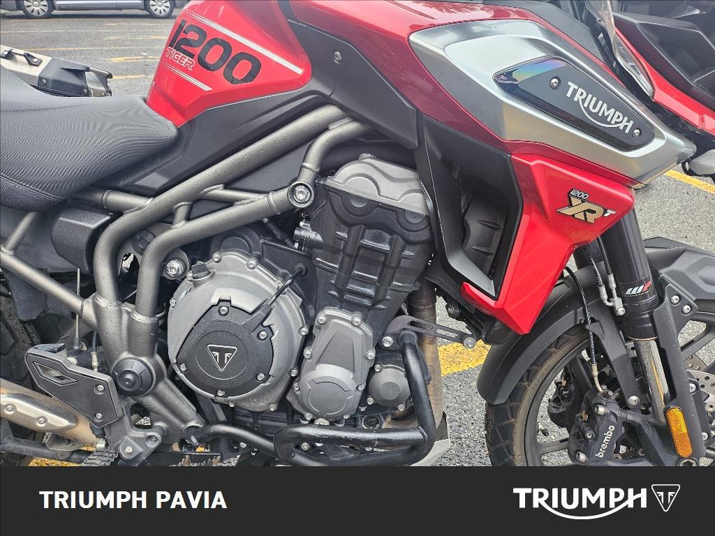 TRIUMPH Tiger 1200 XRT Abs