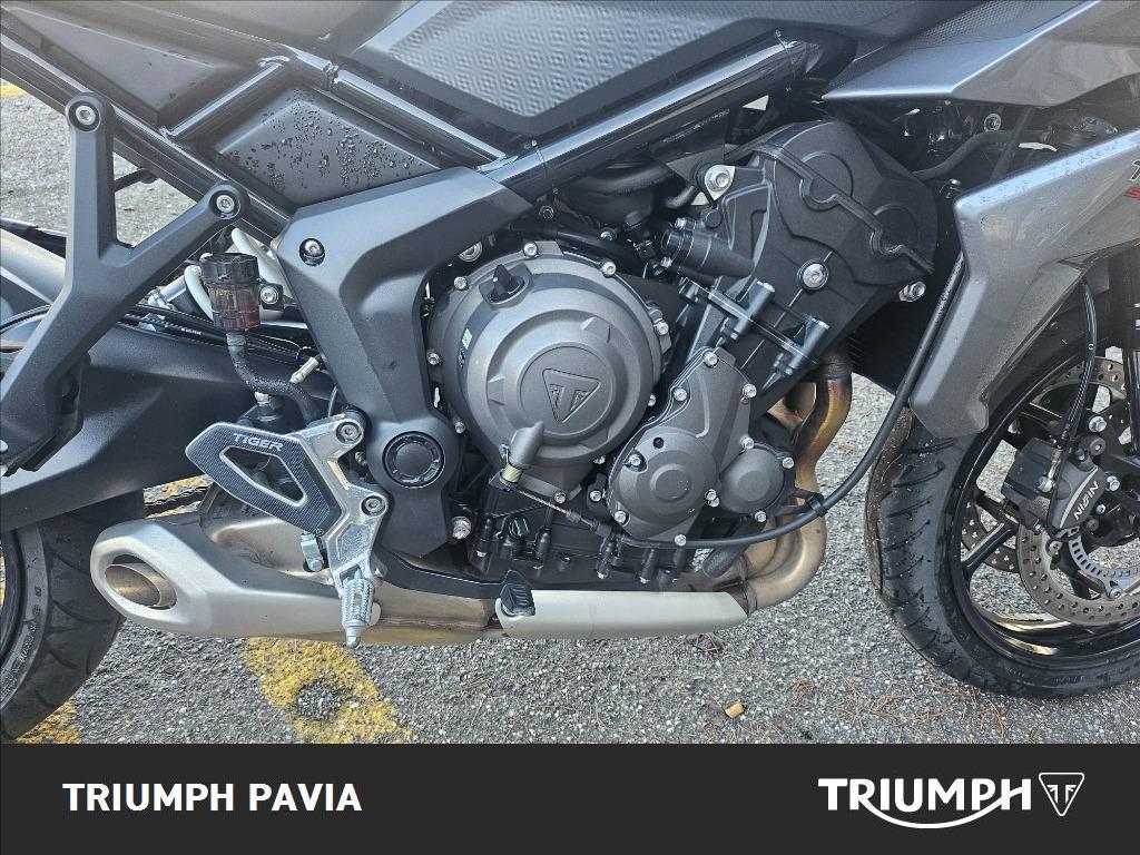 TRIUMPH Tiger Sport 660 Abs