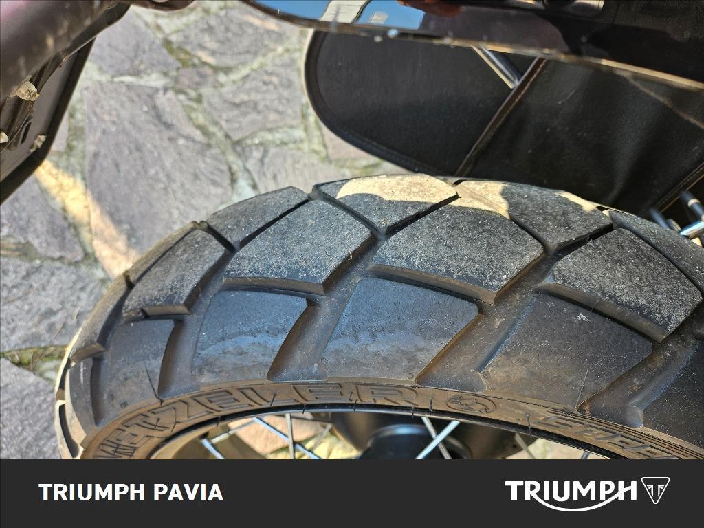 TRIUMPH Street Scrambler 900 