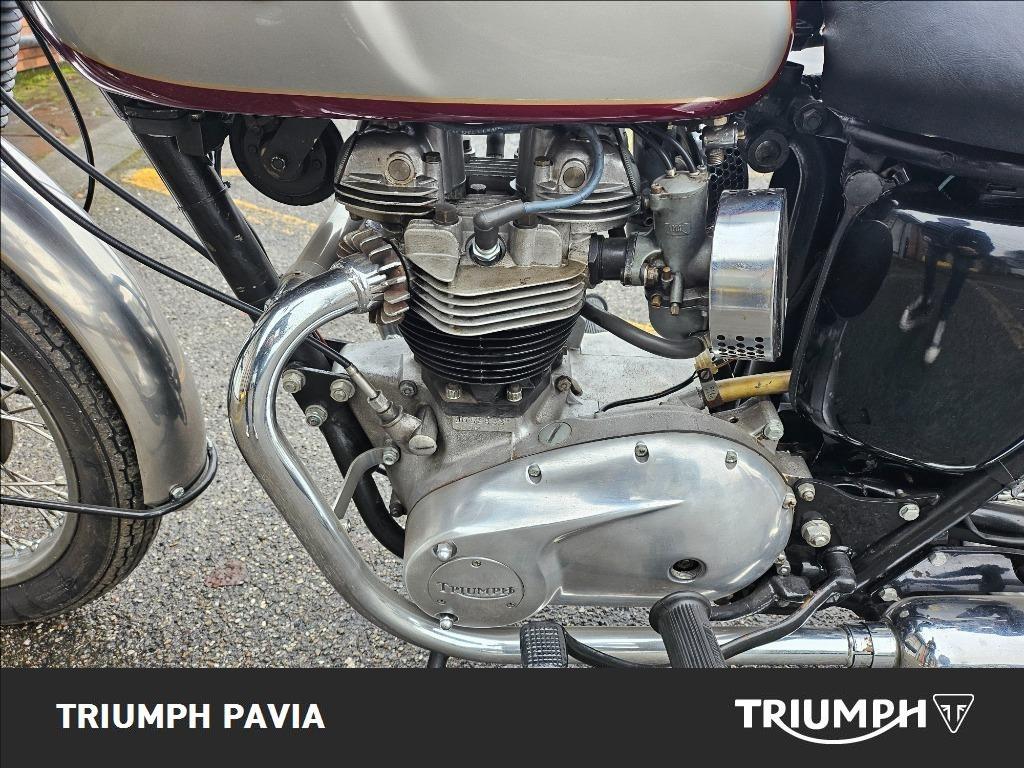 TRIUMPH Seleziona Seleziona