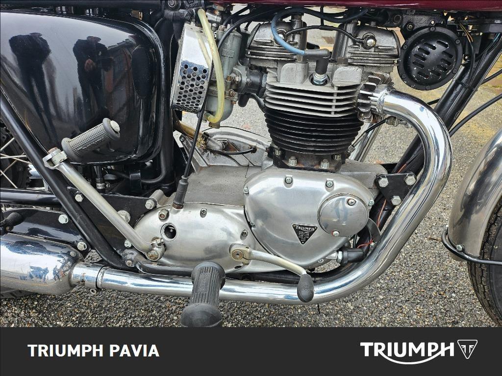 TRIUMPH Seleziona Seleziona
