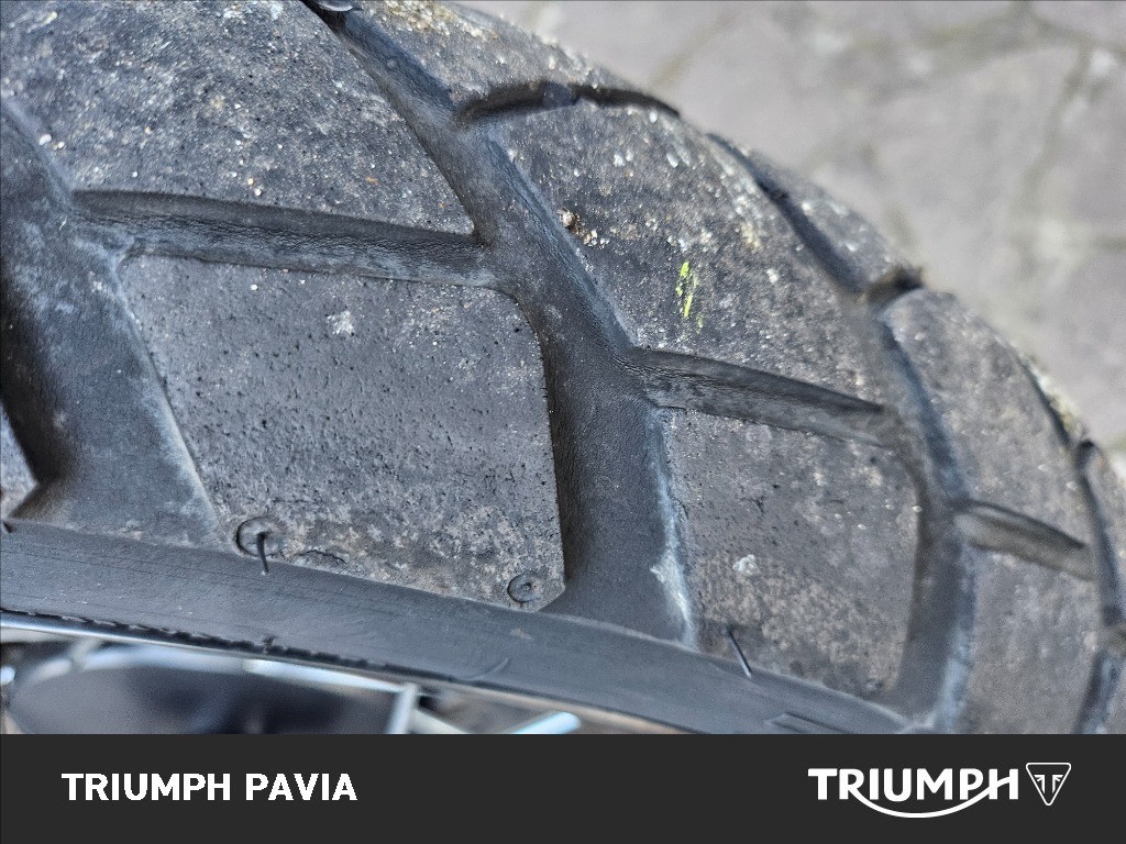 TRIUMPH Street Scrambler 900 