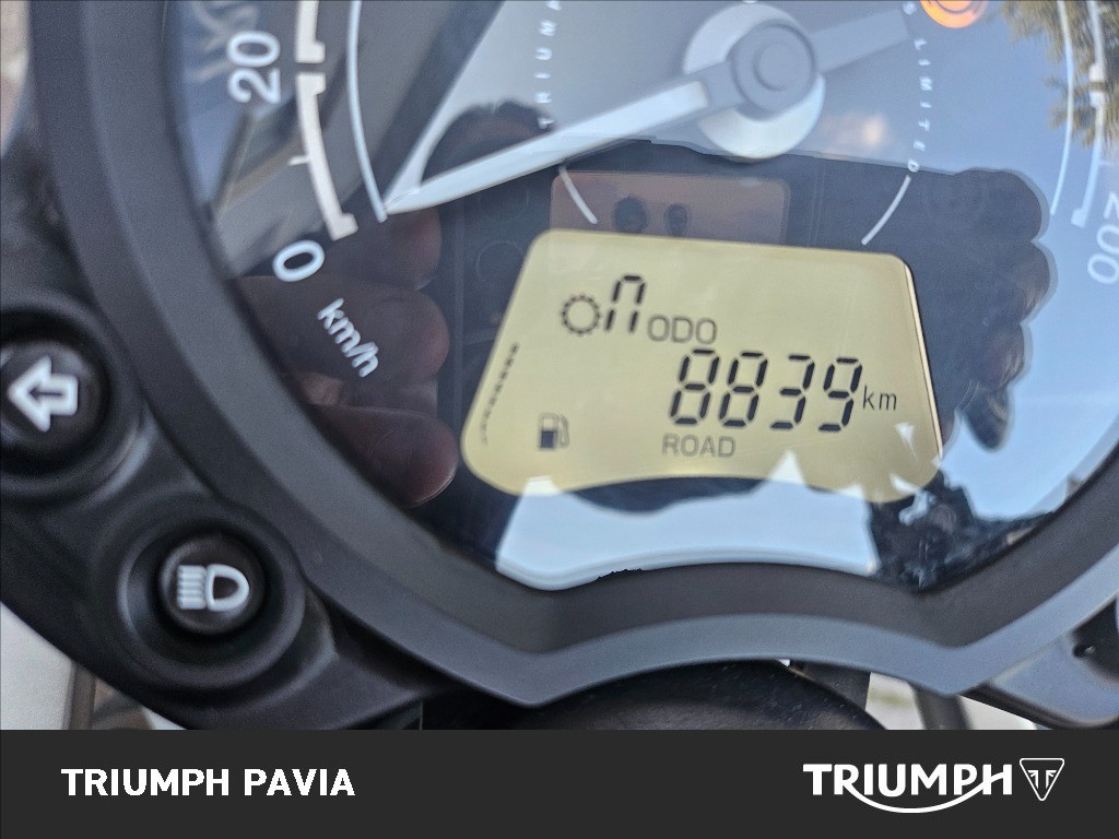 TRIUMPH Street Scrambler 900 