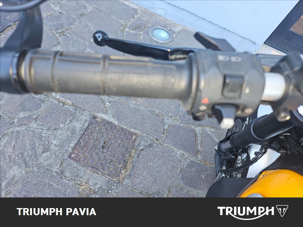 DUCATI Scrambler 800 Classic
