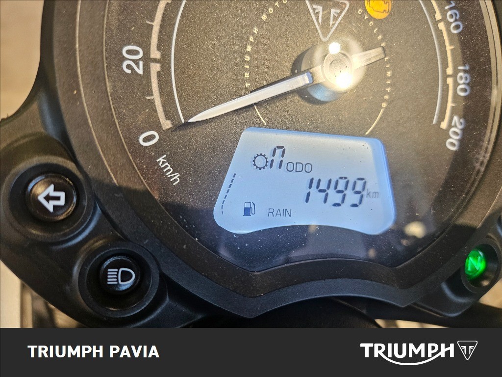 TRIUMPH Street Scrambler 900 