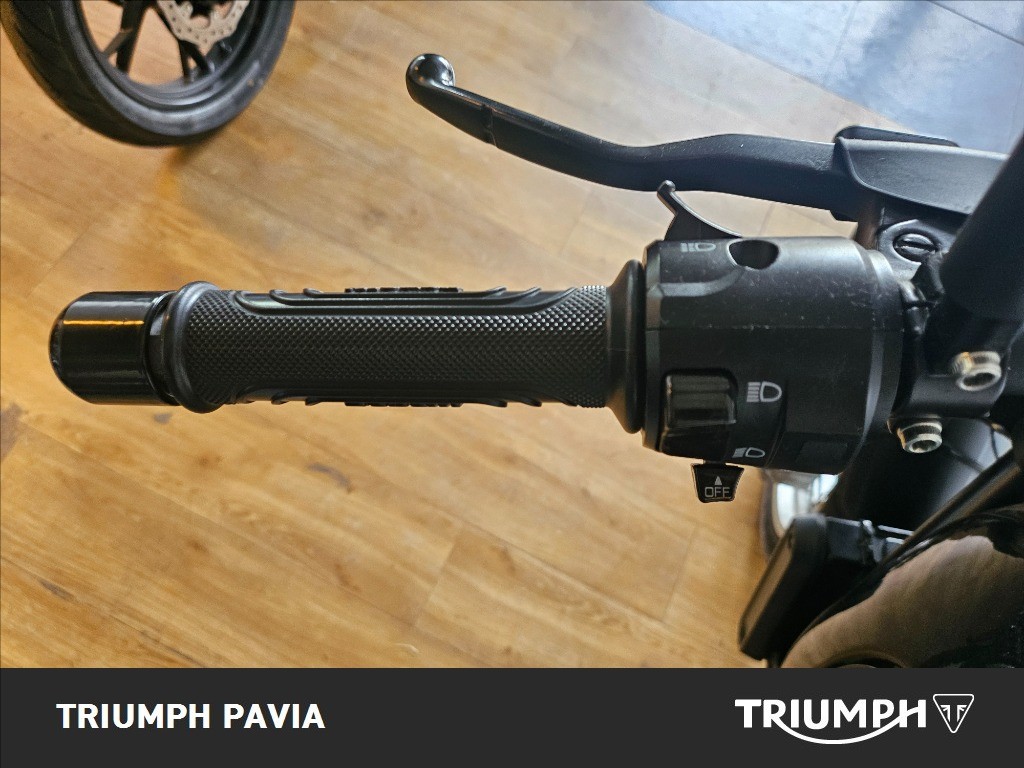 BENELLI Leoncino 500 Trail E5