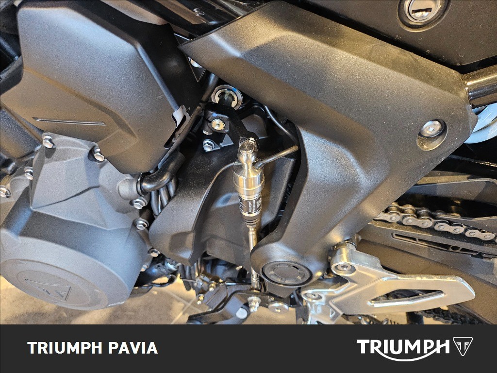 TRIUMPH Tiger Sport 800 Tour Abs
