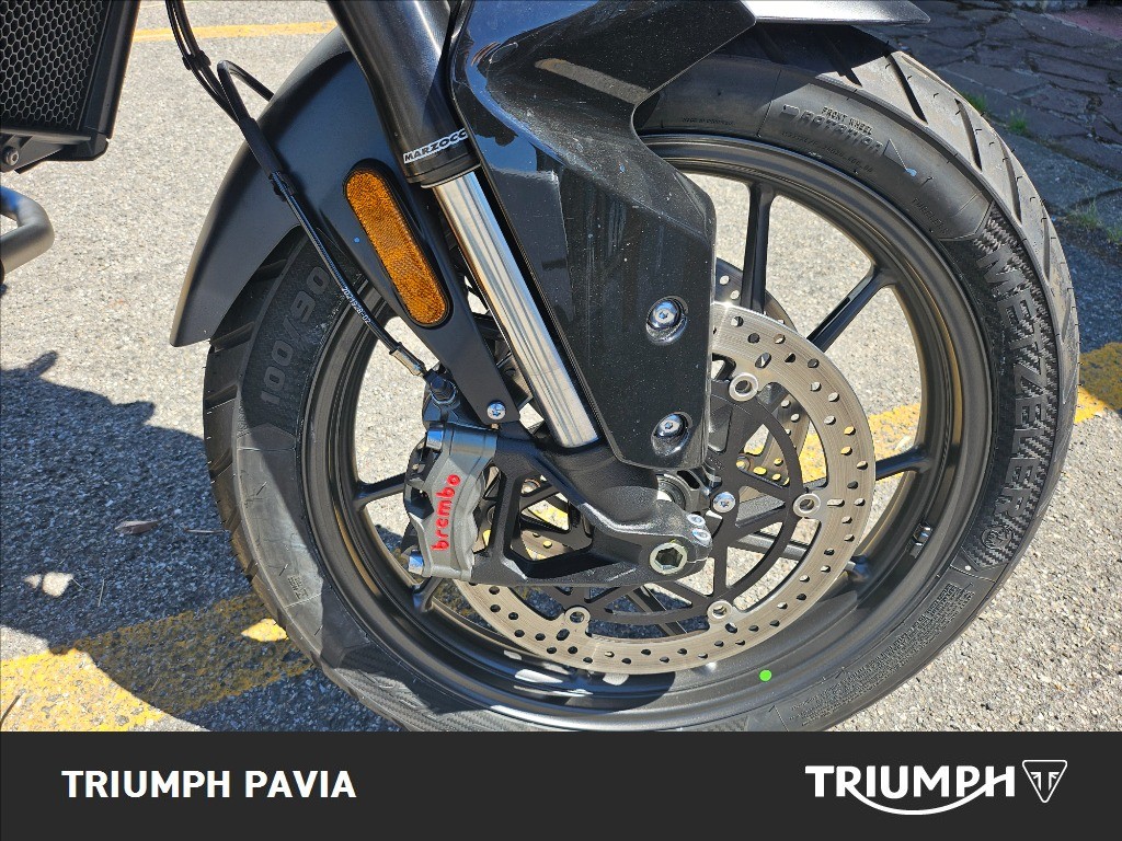 TRIUMPH Tiger 900 Alpine Edition