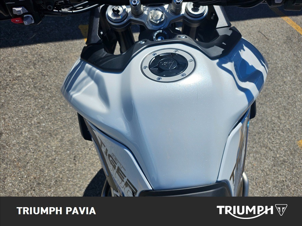 TRIUMPH Tiger 900 Alpine Edition