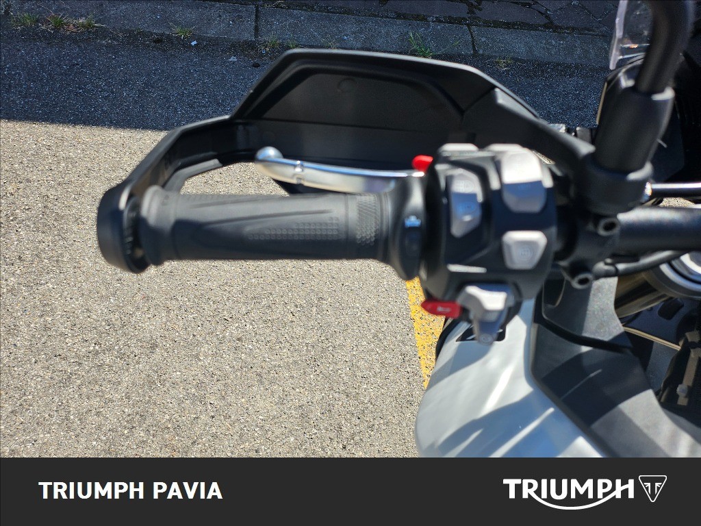 TRIUMPH Tiger 900 Alpine Edition