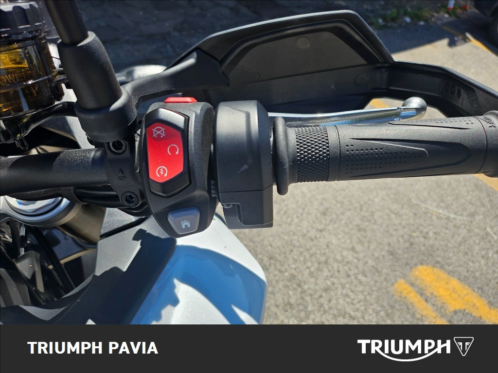 TRIUMPH Tiger 900 Alpine Edition
