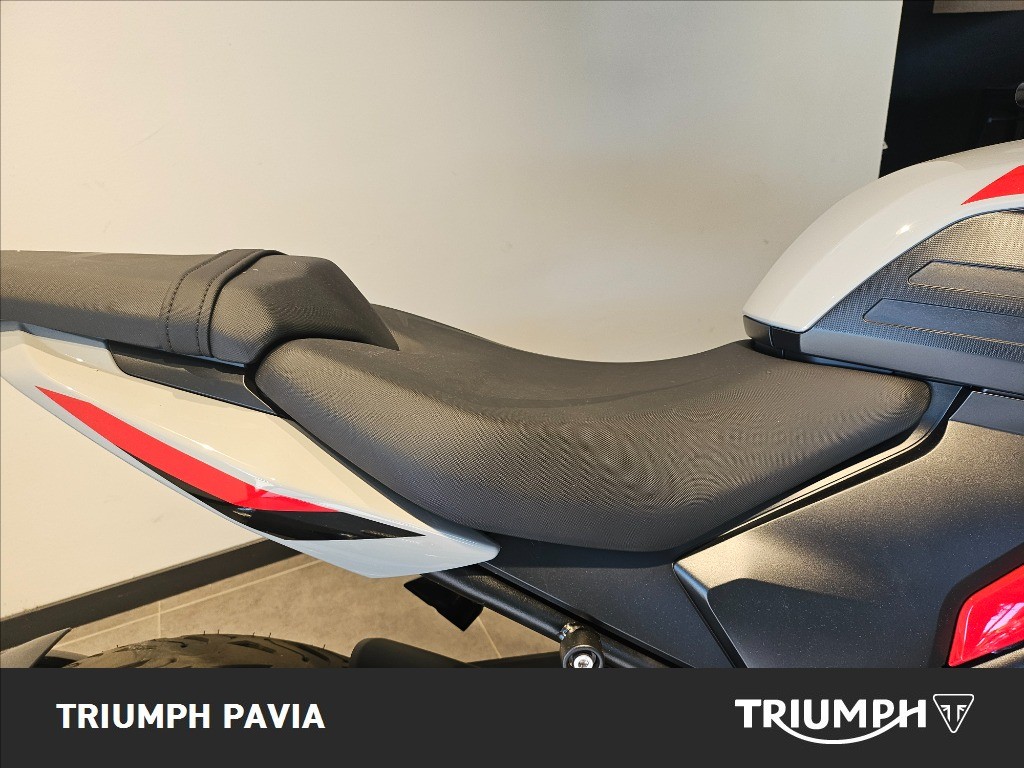 TRIUMPH Trident 800 Ash Grey Abs