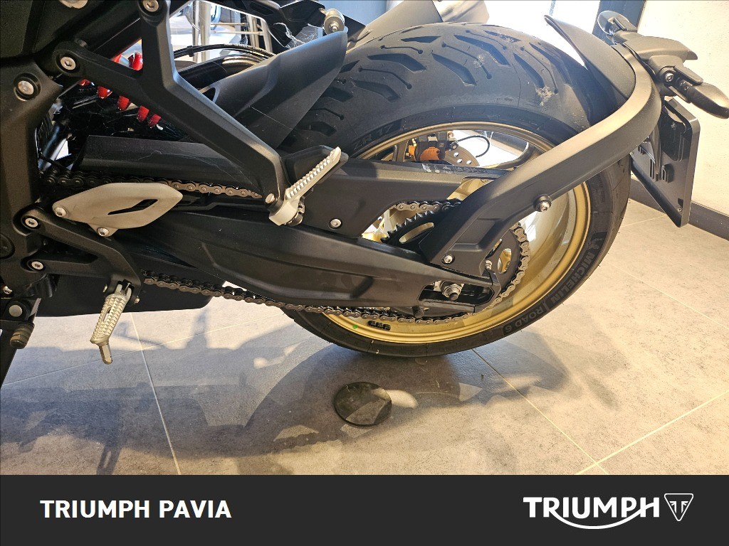 TRIUMPH Trident 800 Ash Grey Abs
