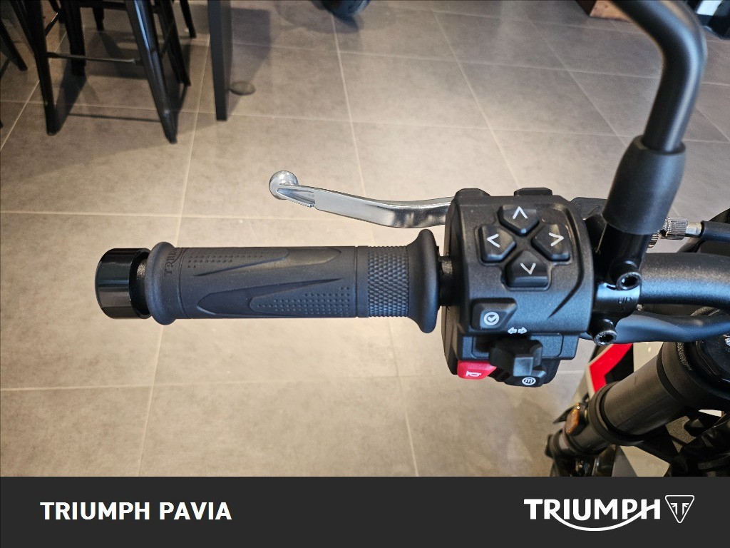 TRIUMPH Trident 800 Ash Grey Abs