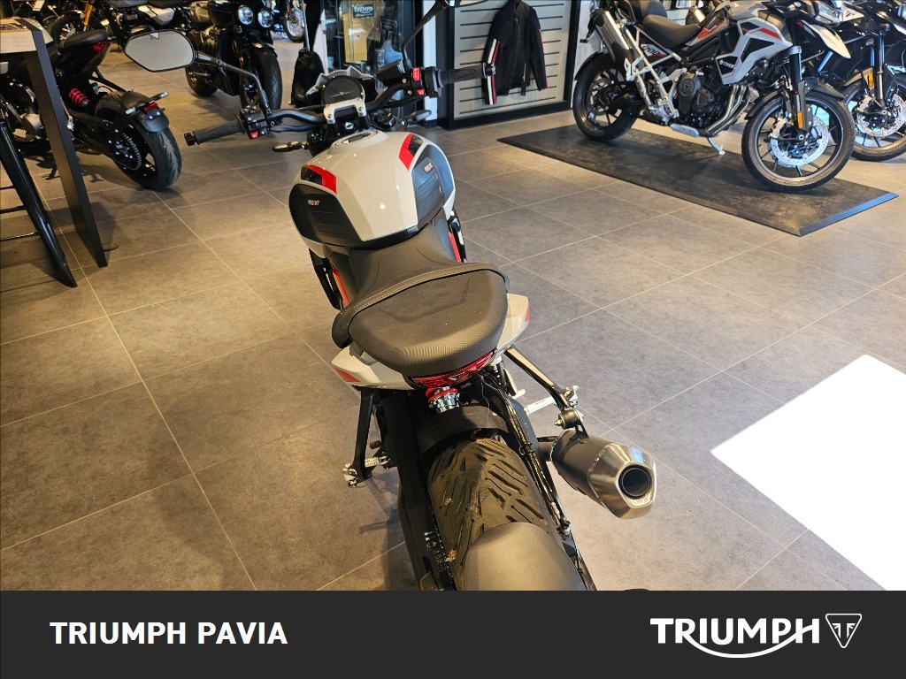 TRIUMPH Trident 800 Ash Grey Abs