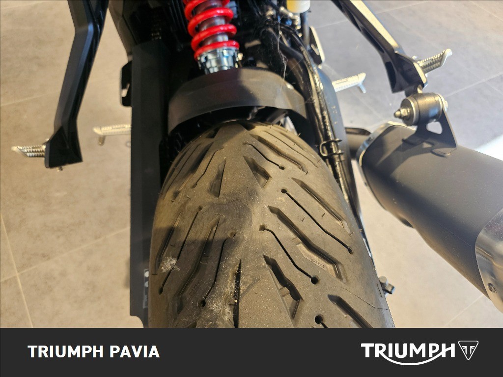 TRIUMPH Trident 800 Ash Grey Abs