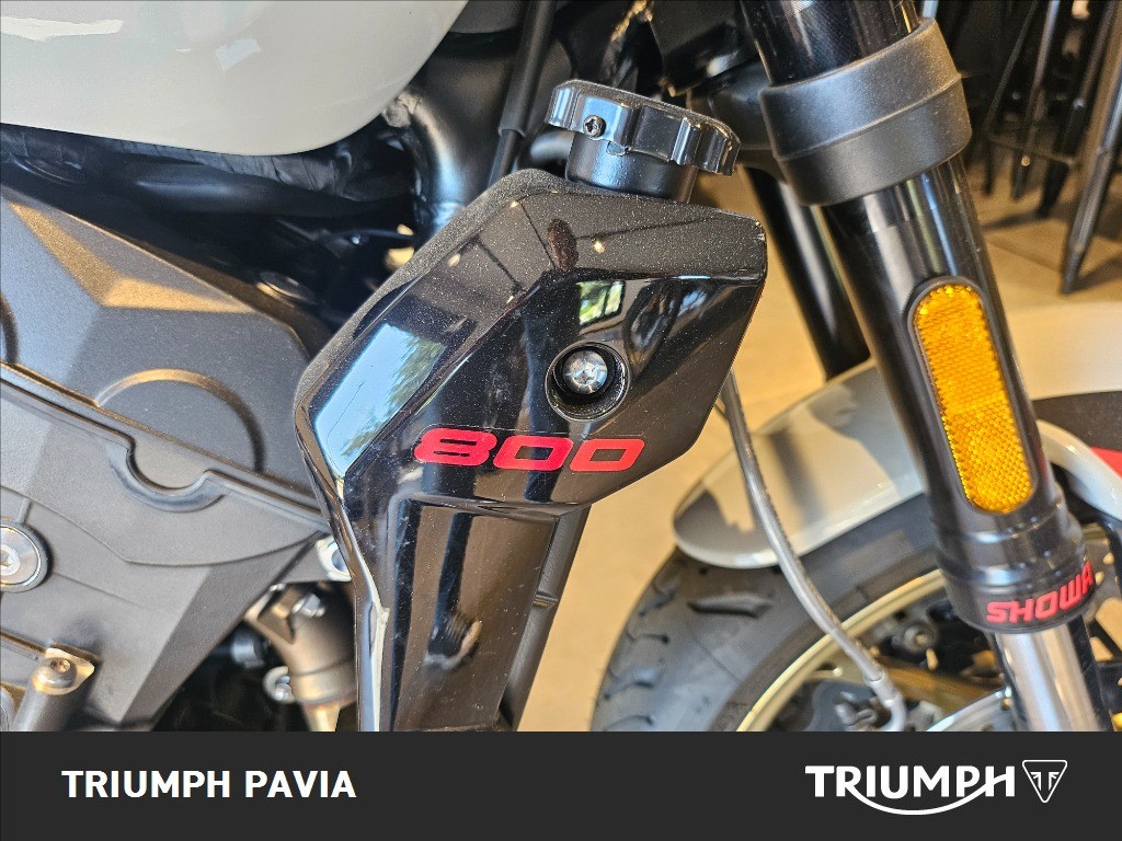 TRIUMPH Trident 800 Ash Grey Abs
