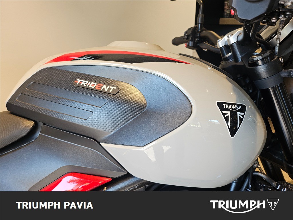 TRIUMPH Trident 800 Ash Grey Abs