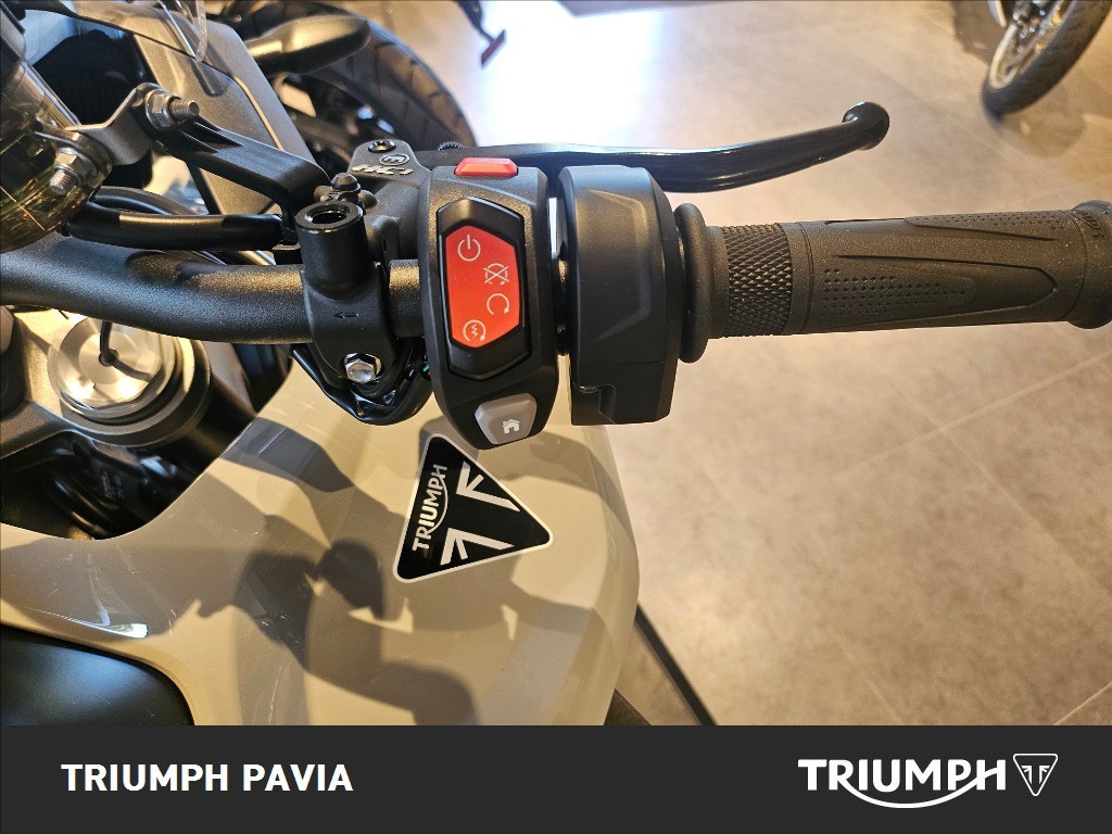 TRIUMPH Tiger 1200 Alpine Edition