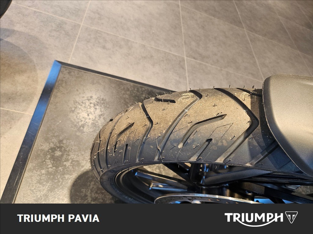 TRIUMPH Tiger 1200 Alpine Edition