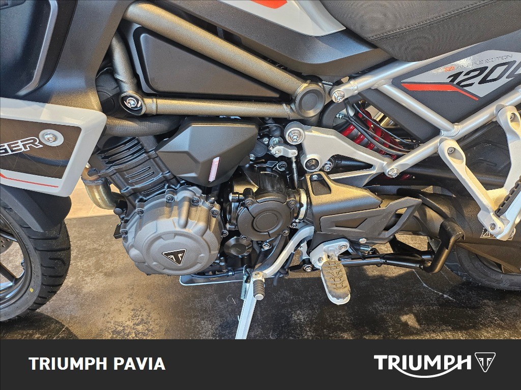 TRIUMPH Tiger 1200 Alpine Edition