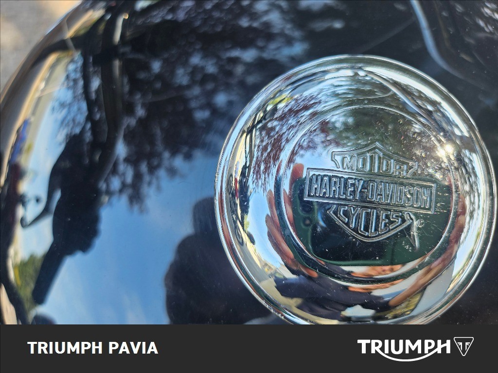 HARLEY-DAVIDSON 1200 Sportster T SuperLow