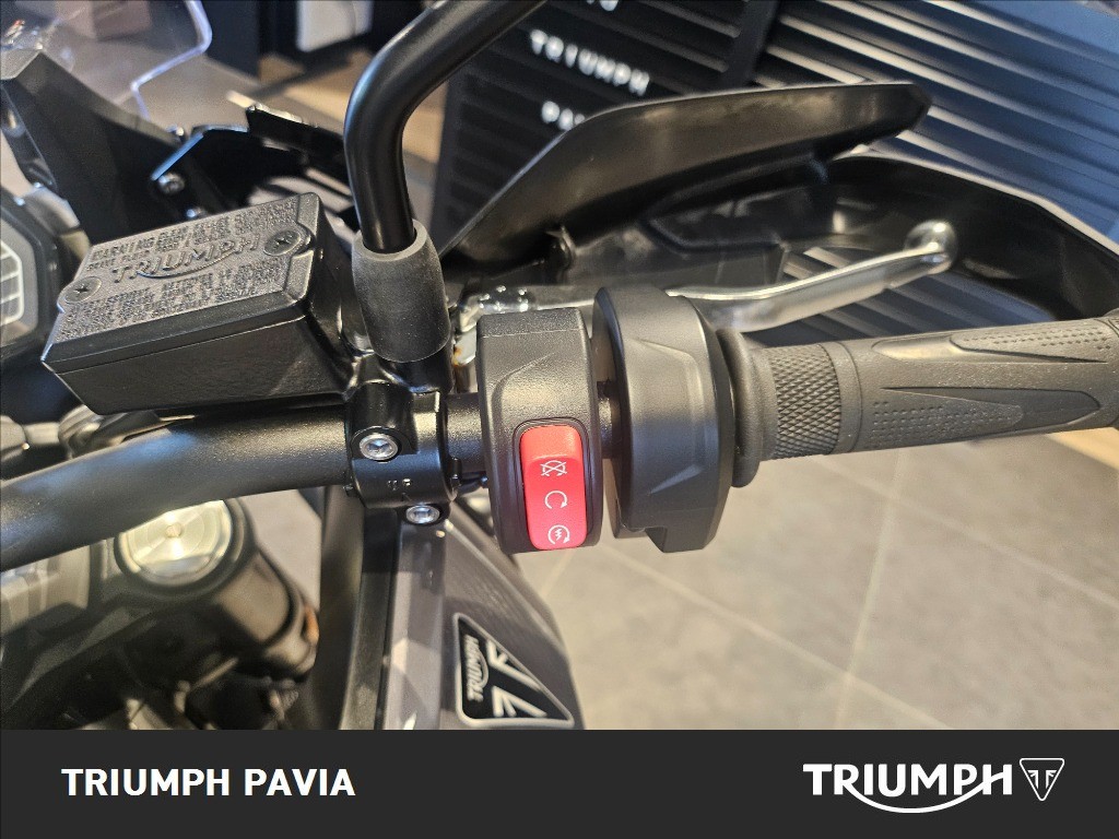 TRIUMPH Tiger Sport 800 Abs